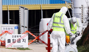 국내서 2년 만에 구제역&hellip;전국서 백신 접종 시작