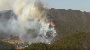 경북 청도 산불(사진=경북소방본부 제공, 연합뉴스)