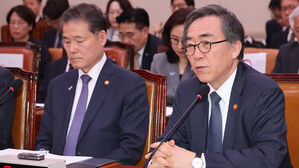 답변하는 조태열 외교부 장관(사진=연합뉴스)