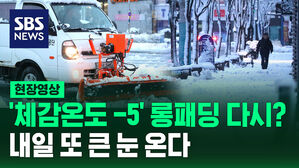 [현장영상] 봄꽃 대신 폭설 "내일까지 전국 눈폭풍 전망, 또다시 겨울"