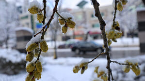 중부지방에 대설 예상&hellip;중대본 1단계 가동