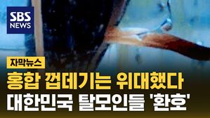 [자막뉴스] 홍합 껍데기는 위대했다&hellip;대한민국 탈모인들 '환호'