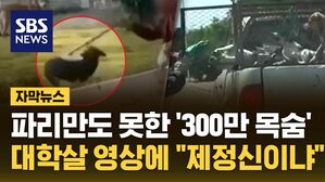 자막 대량학살