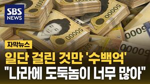 [자막뉴스] 일단 걸린 것만 '수백억'&hellip;"나라에 도둑놈이 너무 많아"