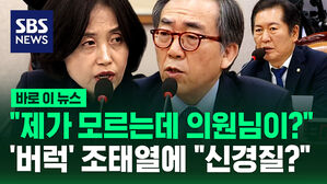 [바로이뉴스] "제가 모르는데 의원님이 알아요?" '버럭' 조태열에 "신경질 내지 마세요" 지원 사격한 정청래 법사위원장 직언