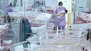 억대 출산장려금 · 1천 원 주택…지자체, 저출생 극복 안간힘