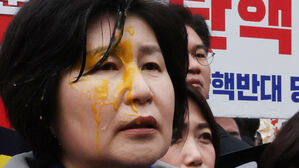 경찰, 민주당 의원에 '계란 투척' 용의자 추적 중…1인 시위 강제해산