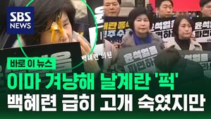[바로이뉴스] '윤석열 파면 촉구 집회' 중 민주당 백혜련 의원 '계란 봉변'..."민주주의에서 있어서는 안 되는 일"