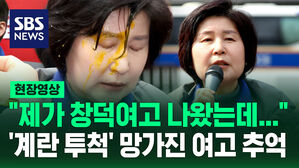 [현장영상] 백혜련 민주당 의원 "제가 창덕여고 나왔는데&hellip;" '계란 투척'으로 망가진 여고 추억