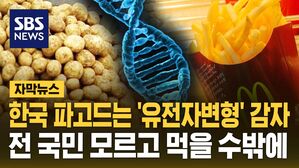 [자막뉴스] 한국 파고드는 '유전자변형' 감자&hellip;전 국민 모르고 먹을 수밖에