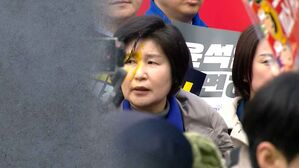 '헌재 앞 백혜련 의원 계란 투척' 피의자 2명 송치