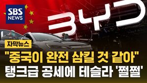 자막 중국 전기차