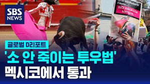 [글로벌D리포트] 멕시코, '소 안 죽이는 투우 법' 통과