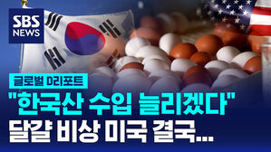 [글로벌D리포트] '달걀 비상' 미국&hellip;"한국산 더 많이 수입"