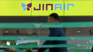 "피 흘리고 멍 들어" 비행기서 벌어진 일…승무원 봉변