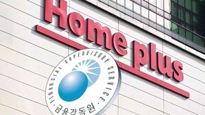 금감원, 홈플러스 회계심사 착수&hellip;"투자 피해 책임질 것"