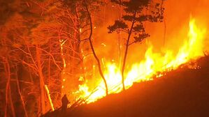 오늘 하루만 산불 16건&hellip;산불재난 위기경보 '심각' 발령