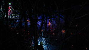 정부, '산불 피해' 경남 산청군 특별재난지역 선포