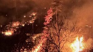 산청 산불로 4명 사망…특별 재난지역 선포