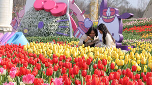 완연한 봄 날씨를 보인 21일 경기도 용인시 에버랜드를 찾은 시민들이 튤립 축제를 즐기고 있다.