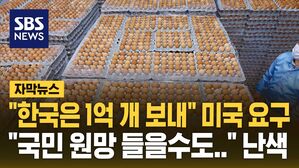 [자막뉴스] "한국은 1억 개 보내" 미국 요구&hellip;"국내 가격도 심상치 않은데" 난색
