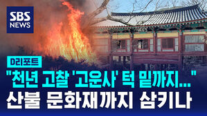 [D리포트] '가야시대 유물' 은닉&hellip;전 국립문화유산연구소장 덜미