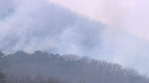 울주 산불, 주불 진화 난항&hellip;울주 언양 '산불 1단계 발령'