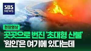 [영상] 의성군에서 시작돼 곳곳으로 번진 '초대형 산불', '원인'은 여기에 있다는데