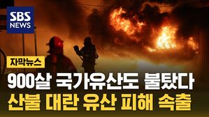 자막 산불대란