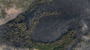 중대본부장, 경북 대형 산불 현장 점검&hellip;"조기 진화 총력"