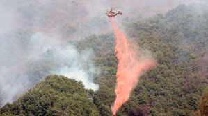 산청 산불, 지리산국립공원 200m 앞 확산&hellip;불길 저지 총력