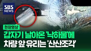 [영상] 어디선가 갑자기 날아온 '낙하물'에 주행 중이던 차량 앞 유리창 '산산조각', 사고 책임을 물을 방법은 없는 걸까?