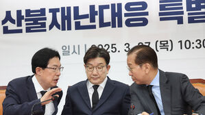 국민의힘 산불특위, '특별재난지역 확대&middot;특교세 선지급' 정부에 건의