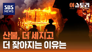 이슈토리 괴물 산불2
