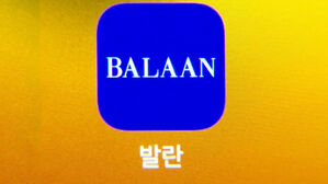 회생법원, 명품 거래 플랫폼 1세대 '발란' 파산 선고