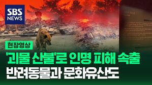 [영상] '괴물 산불'로 인명 피해 속출, 반려동물과 문화유산도