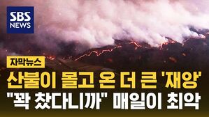 [자막뉴스] 산불이 몰고 온 더 큰 '재앙'&hellip;"꽉 찼다니까" 매일이 최악