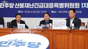 산불재난긴급대응 특위 주재하는 김병주 위원장(사진=연합뉴스)