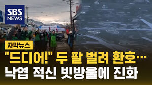 [자막뉴스] "드디어!" 두 팔 벌려 환호&hellip;낙엽 적신 빗방울에 진화