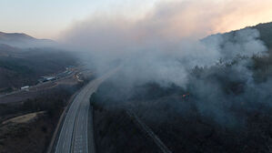 29일 경북 안동시 남후면 고하리 부근에서 산불이 재발화해 연기가 피어오르고 있다.