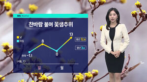 [날씨] 꽃샘추위 계속&hellip;수도권을 포함한 전국 대부분 건조주의보
