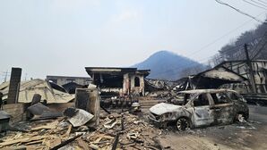 [취재파일] 산불 피해 현장에 와서야 알게 된 것들