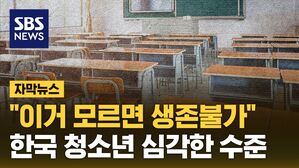 자막 금융문맹