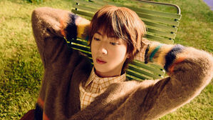 경찰, BTS 진에 '기습 입맞춤' 일본 여성 수사 중지 결정