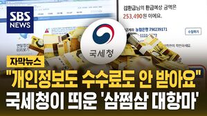 [자막뉴스] "개인정보도 수수료도 안 받아요"&hellip;국세청이 띄운 '삼쩜삼 대항마'