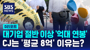 [D리포트] 대기업 절반 이상 '억대 연봉'&hellip;임원 많은 CJ는 '평균 8억'