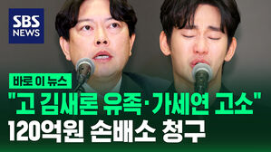 [바로이뉴스] "고 김새론 유족&middot;가세연 고소" 120억 원 손배소 청구