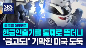 [글로벌D리포트] 도둑 들끓는 미국&hellip;보고도 신고 않는 시민들