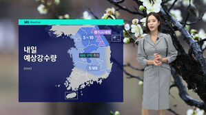 [날씨] 전국 대부분 봄비&hellip;내일 밤부터 미세먼지 '나쁨'