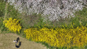 낮 수도권부터 천둥&middot;번개 동반 요란한 봄비&hellip;강수량은 적어